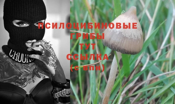 спиды Медвежьегорск