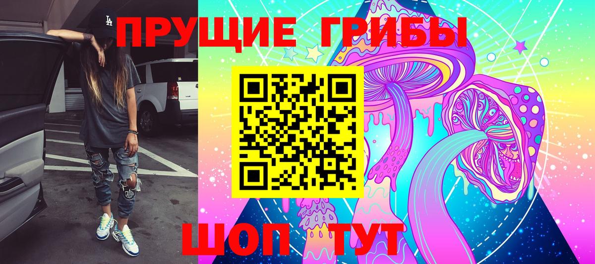 Галлюциногенные грибы Psilocybe Воткинск