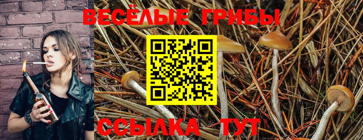 Галлюциногенные грибы прущие грибы  Вход с VPN  Воткинск 