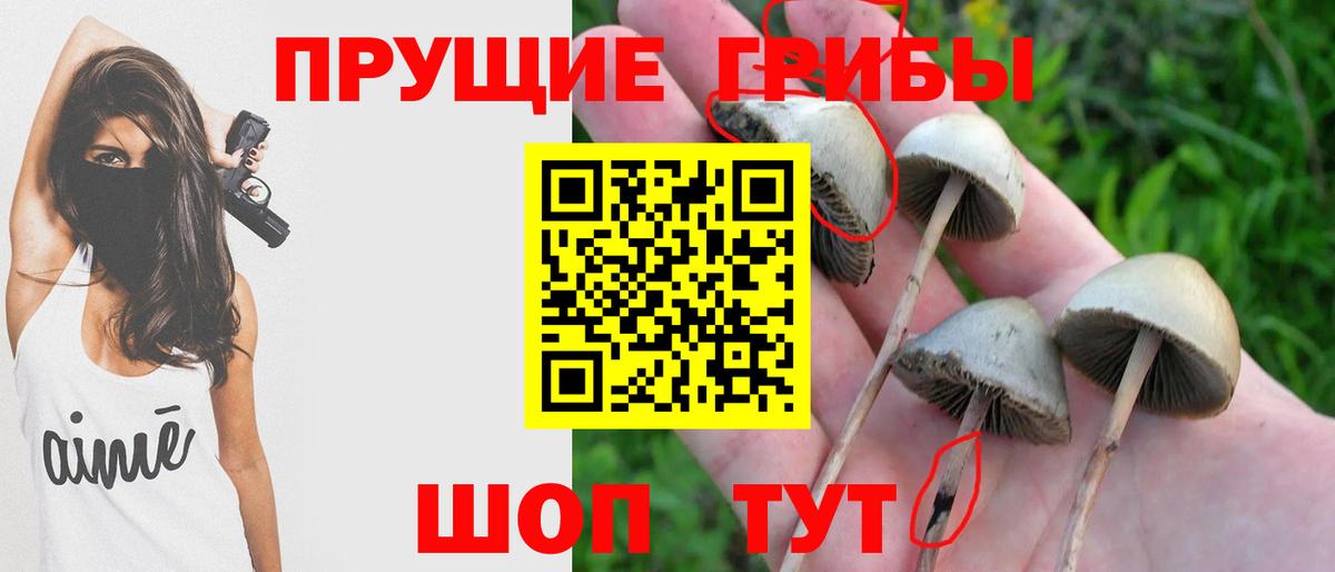 Псилоцибиновые грибы ЛСД  Воткинск  Псилоцибиновые грибы Magic Shrooms 